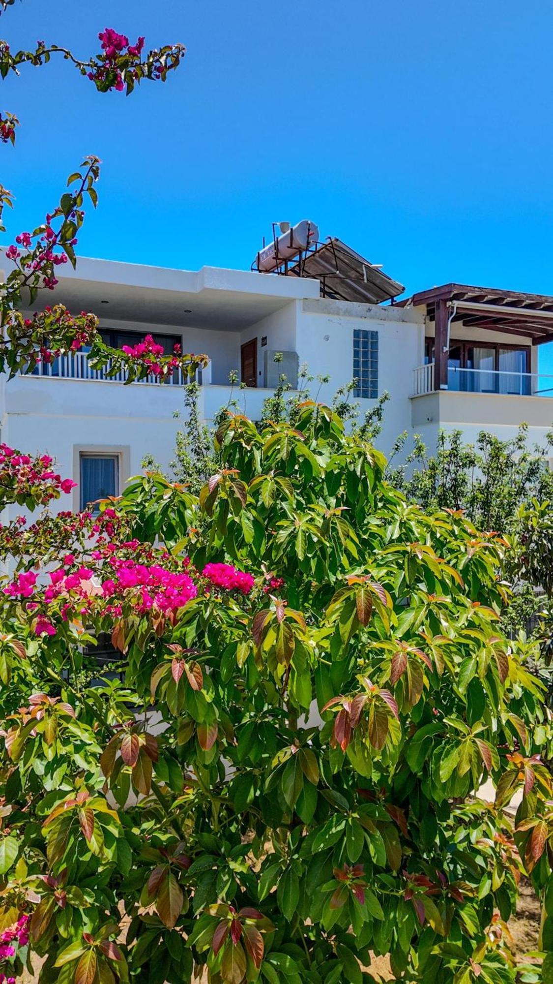 Lizbonia Hotel *